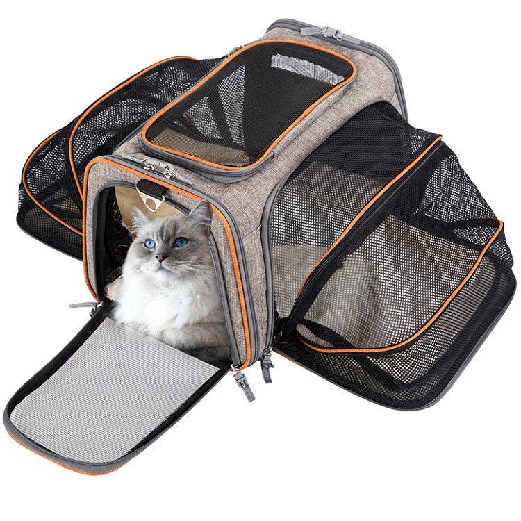 Carrier For Cat Pet Airline Approved Expandable Foive Tapes